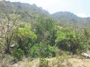 Abha & Asir Mountains - Rijal Almaa Village - Photo 1